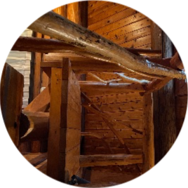 神野昇子のプロフィール画像