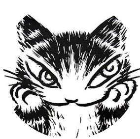 ひいらぎのプロフィール画像