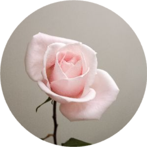 大野郁子のプロフィール画像