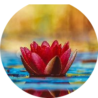 Naomichi and Yukariのプロフィール画像