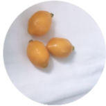 saayaのプロフィール画像