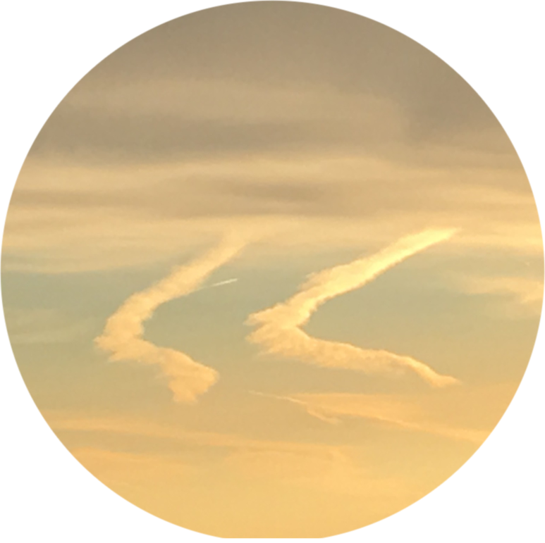 眞室ユキのプロフィール画像