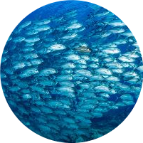 つちやまさひろのプロフィール画像